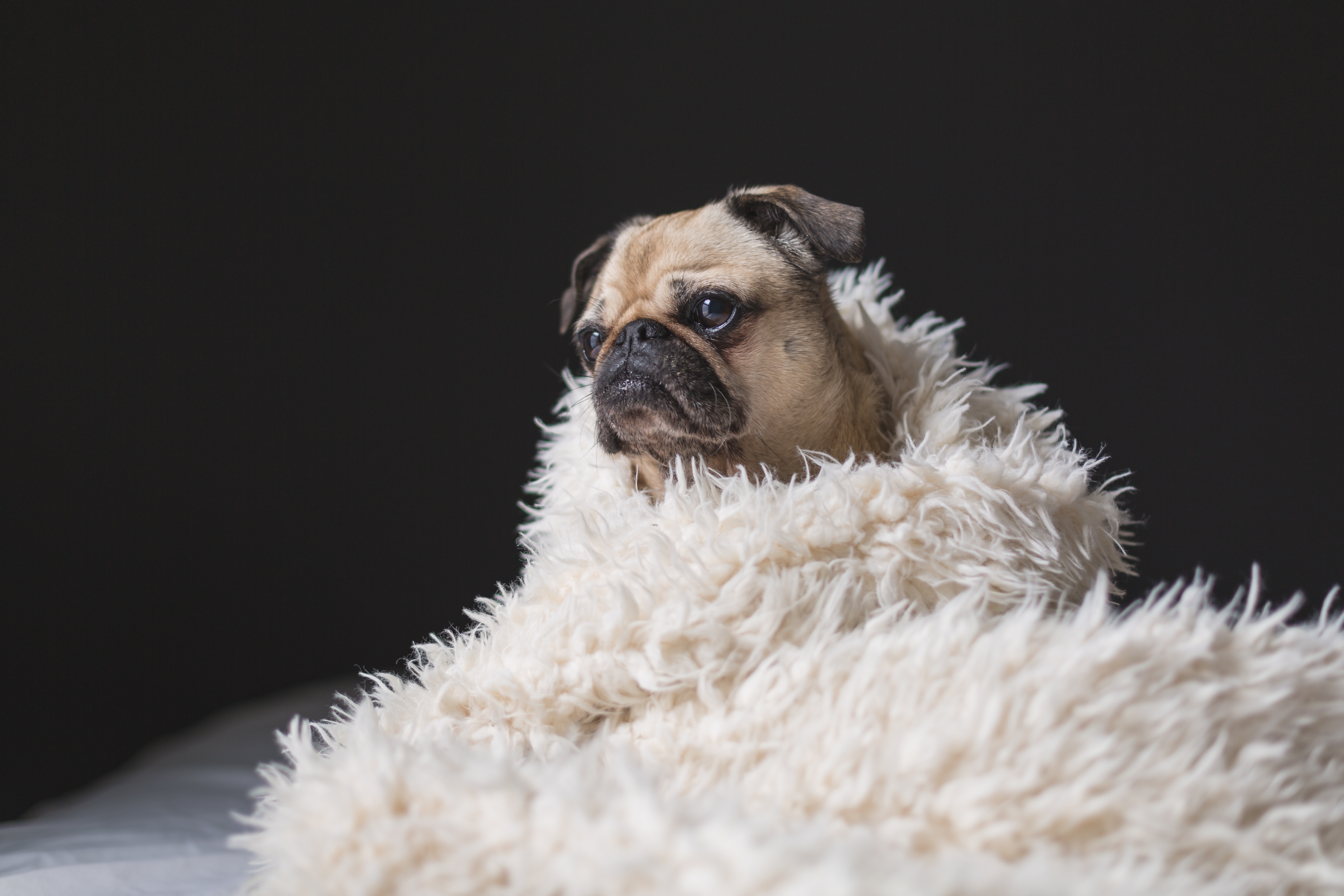 Webデザイナーが効率よくHTMLコーディングができるPugのメリット